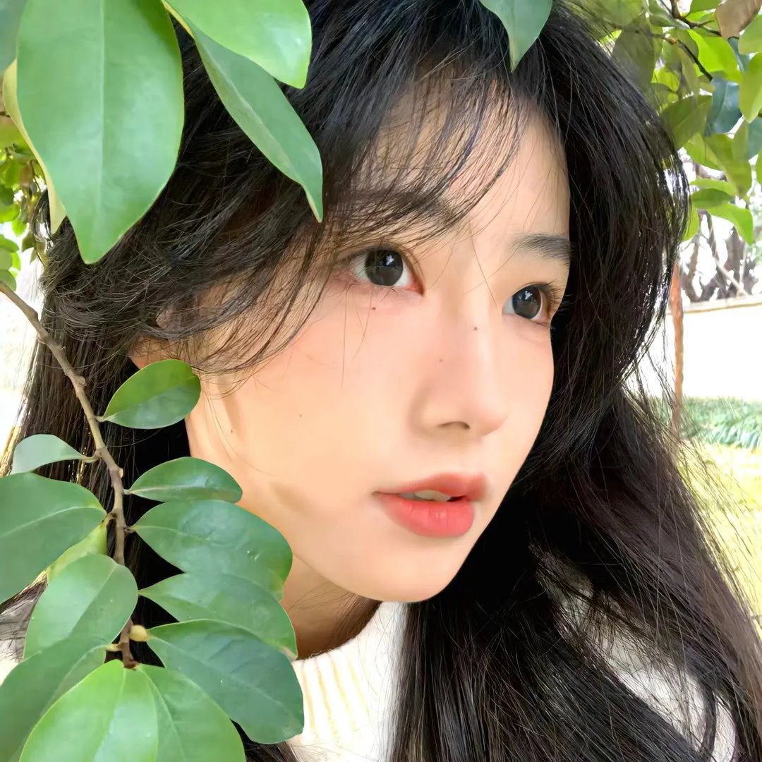 夏日最后的玫瑰