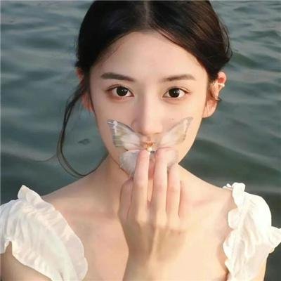 再见 南屏晚钟